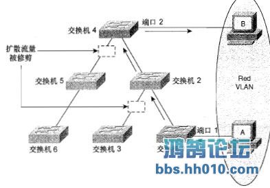 关于VTP修剪的问题 - CCNP求助答疑 - 鸿鹄论