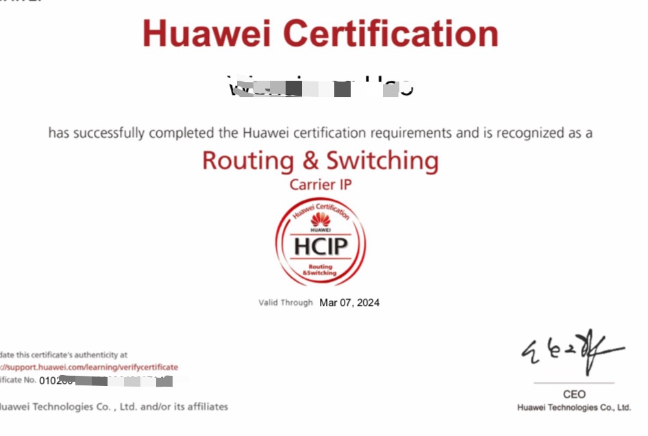 h31124hcipcarrieripv20