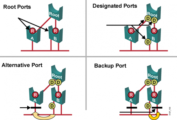 RSTP Port Role.png