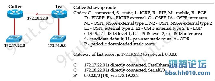 show_ip_route_static_route.jpg