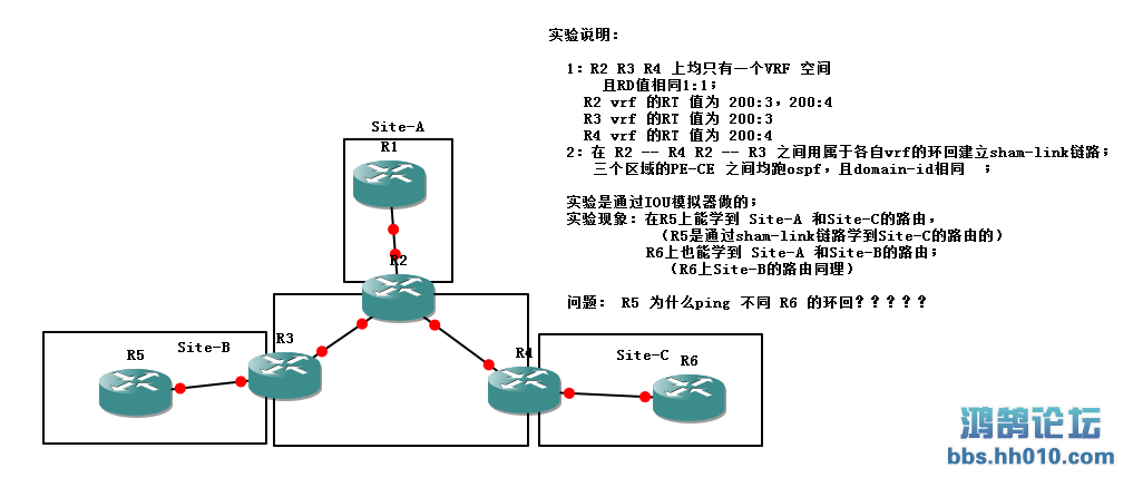 MPLS_vpn⣿.PNG