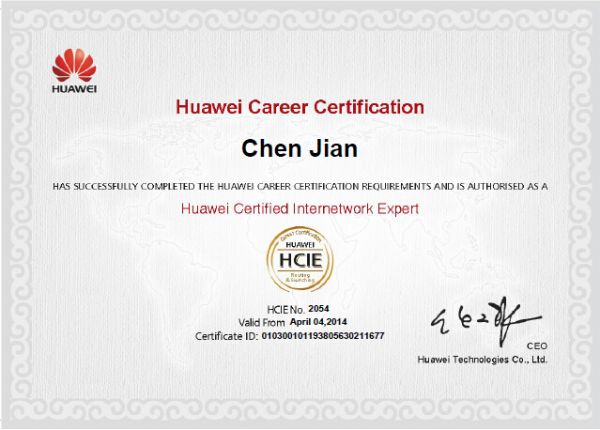HCIE