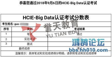 guo hcie-big data.jpg