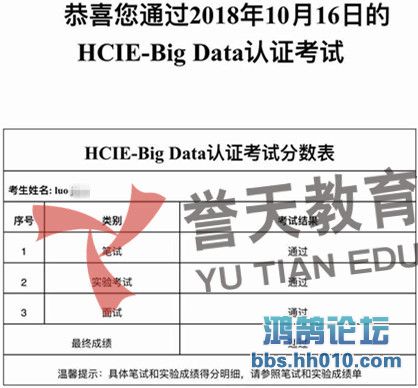 luo  hcie-bigdata.jpg