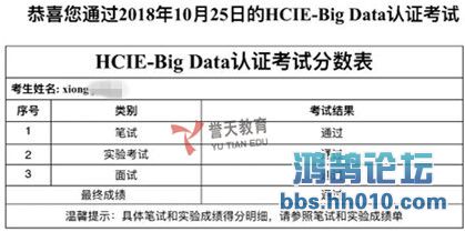 xiong hcie-bigdata.jpg