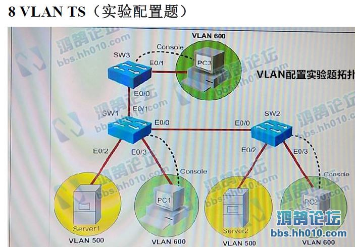 vlan ts