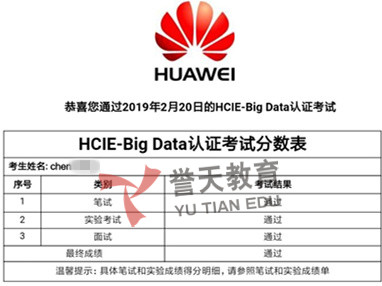 chen hcie-bigdata.jpg