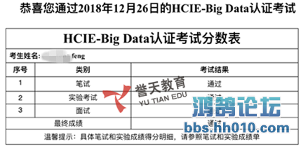 feng hcie-bigdata.png