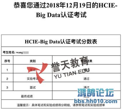 wang hcie-bigdata.jpg