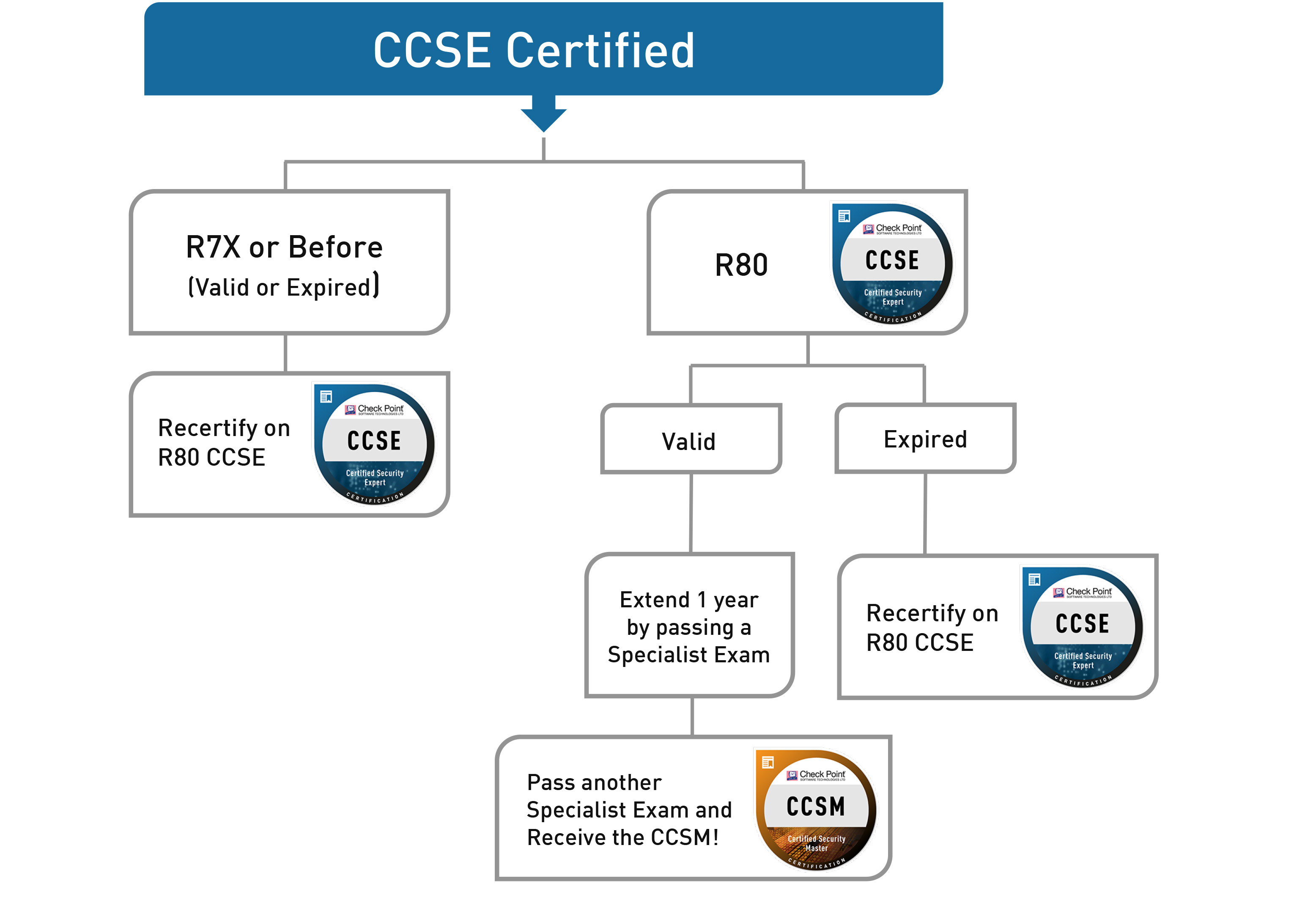 CCSEJC·