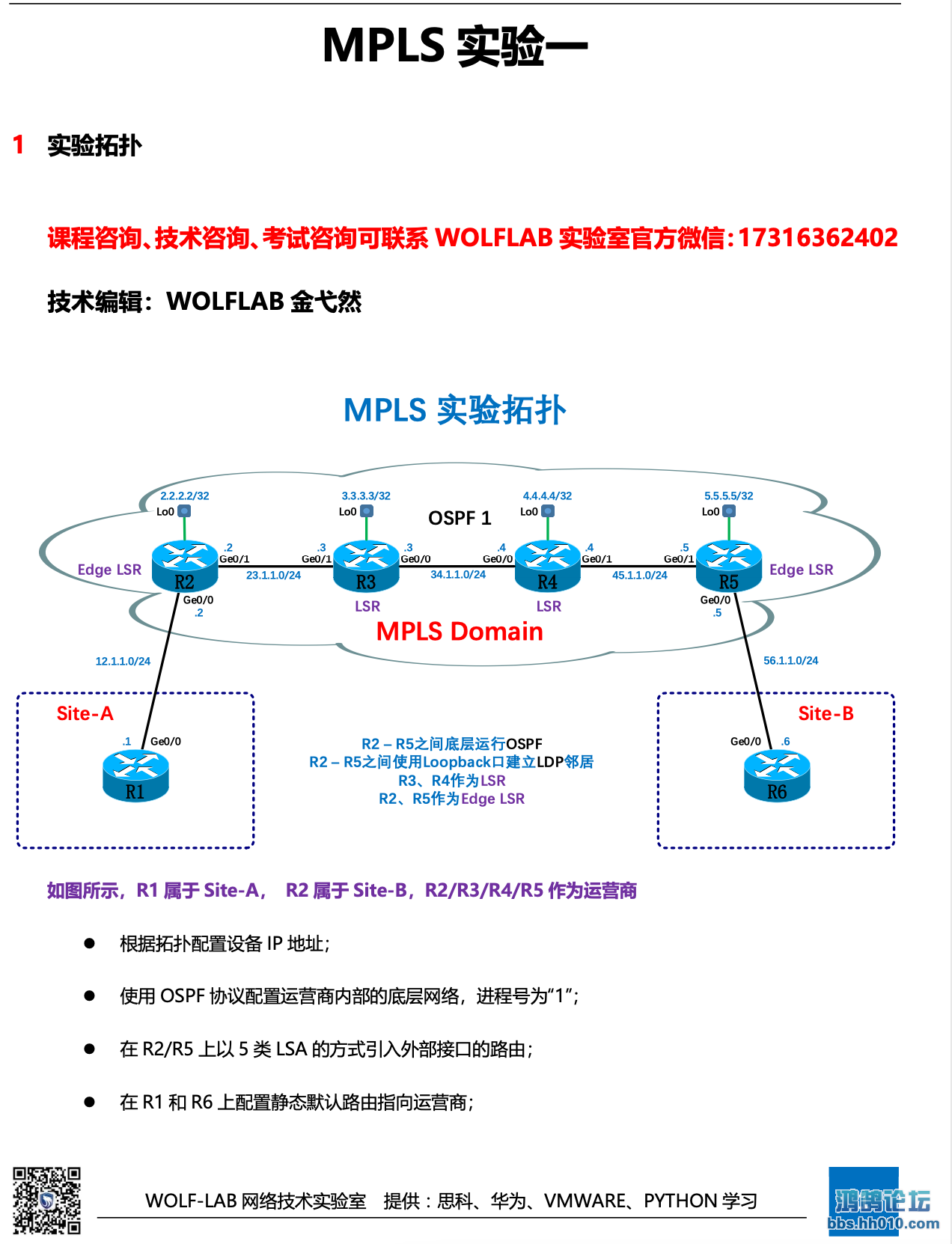 WOLFLAB CCIE.png