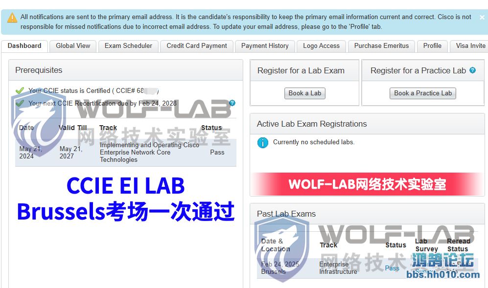 224CCIE EI B.jpg