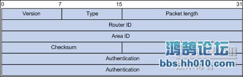 OSPF Header.JPG