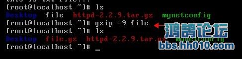 gzip.jpg