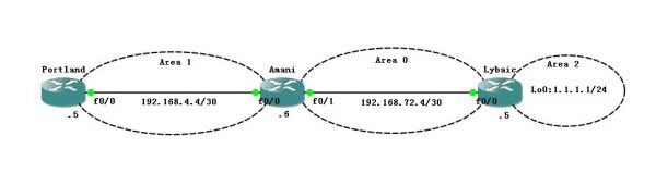 OSPF Sim