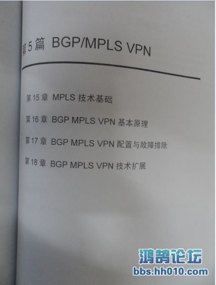 bgp mpls vpn.JPG