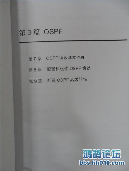 ospf.JPG